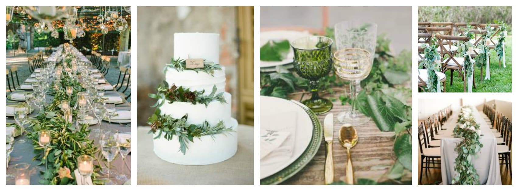botanicaltrend